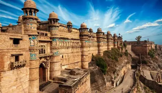 Packers and Movers in Madhya Pradesh